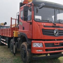 Dongfeng 30ton Straight Crane Truck for Sale
