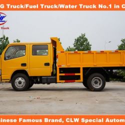 Double Row government Project Dongfeng Mini Lorry Truck