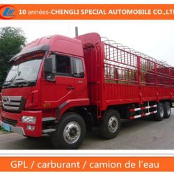 HOWO 8X4 Camion De Fret Cargo Truck
