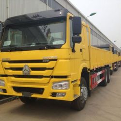 Sinotruk HOWO 10 Tires 20 Ton Capacity Cargo Trucks for Sale