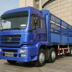 F3000 Cargo Right Hand Drive Shacman Lorry Truck