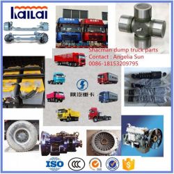 Shacman Dump Truck Parts for Heavy Duty Truck Man Spare Parts