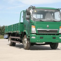 HOWO 4X2 Cargo Truck Loading Capacity 3-5ton