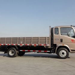 5t Sinotruk HOWO 4X2 Cargo Truck Light Truck