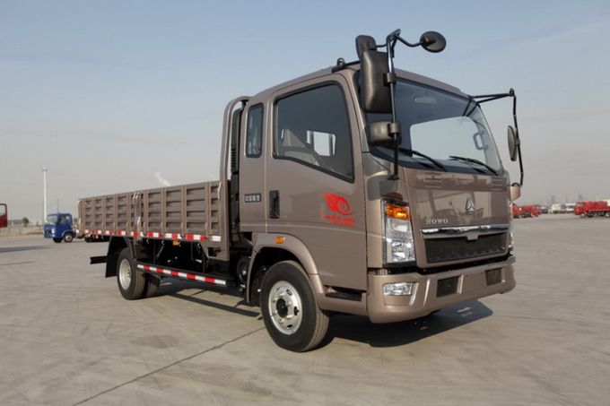 HOWO 4X2 Cargo Truck Light Truck 