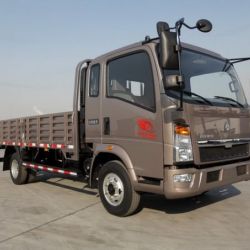 HOWO 4X2 Cargo Truck Light Truck