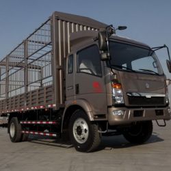 4X2 Light Truck Cargo Truck for Sale