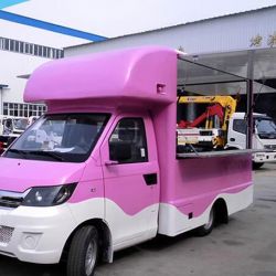 Chery Mobile Food Vending Van for Sale