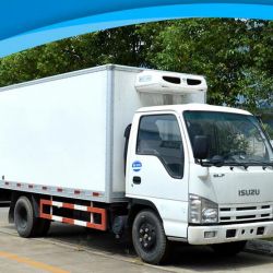 Isuzu 100p 3 Ton Mini Refrigerator Truck