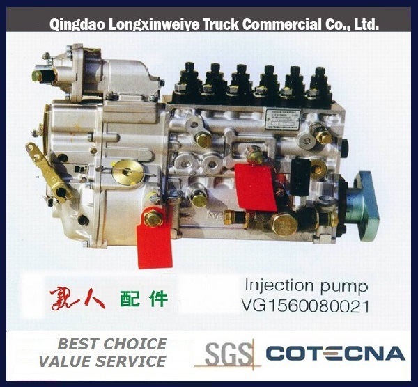 Howo Truck Parts -Fuel Injection Pump 