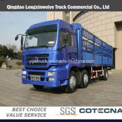 Shacman 10ton Capacity Cargo Truck (SX1254JP464)