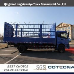 Foton Light Lorry Truck Cargo Truck