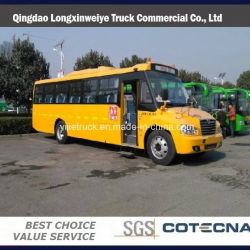 Chinese Quality School Bus with 19-22 Seats Bus