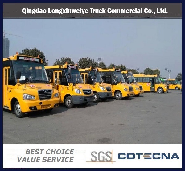 China High Quality 10-40 Seats School Bus 