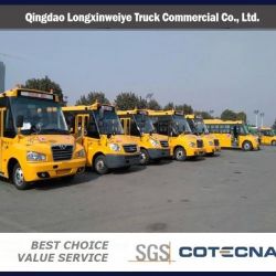 China High Quality 10-40 Seats School Bus