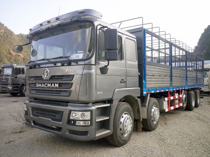 Shacman 8X4 Cargo Truck 