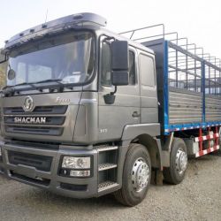 Shacman 8X4 Cargo Truck