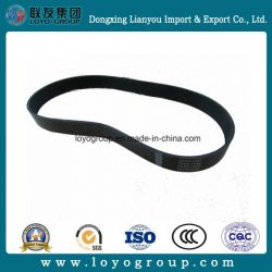 HOWO Truck Spare Part Ribbed Belt