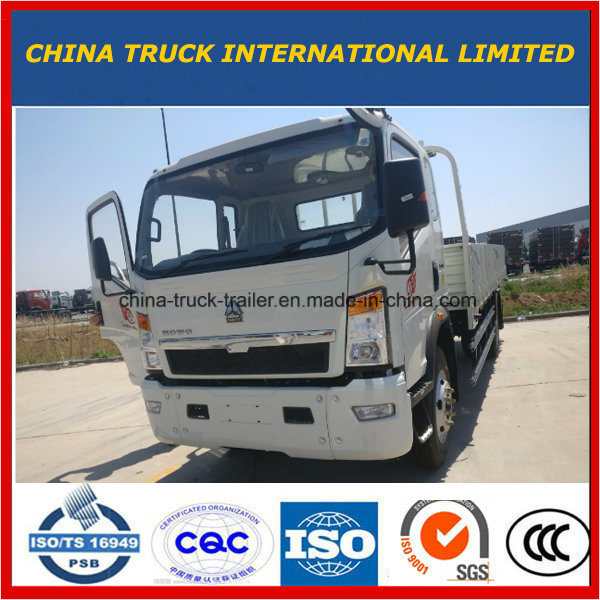 HOWO Popular 4X2 4/5ton Light Cargo Truck with High Quality 