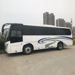 China 9.3m 40 41 42 43 44 45 46 Seats Long Distance New Luxury Travelling Coach Bus