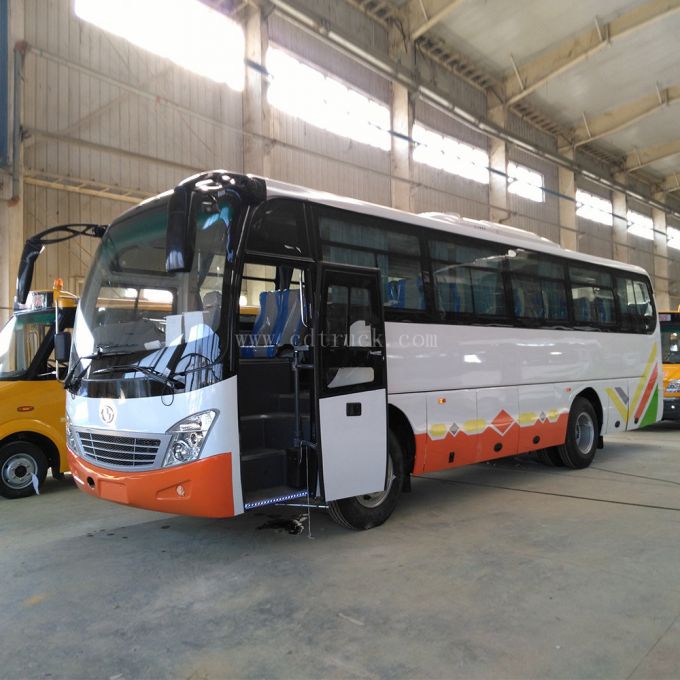 China 9.3m 40 41 42 43 44 45 46 Seats Long Distance New Luxury Travelling Coach Bus Price 