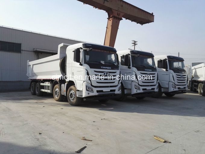 New Hyundai 410 HP 8X4 Dumper Truck with U Shape Dump Box 