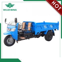 Dump 3 Wheel Truck with Wind Shield