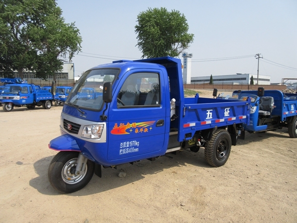 Tri-Wheel Truck with Diesel Engine (WD3J4525101) 
