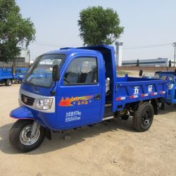 Tri-Wheel Truck with Diesel Engine (WD3J4525101)