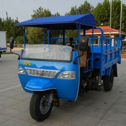 Waw 3-Wheel Vehicle with Rops & Sunshade (WE3B2523101)