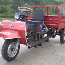 Waw Three Wheel Vehicle (WC1B8518101)