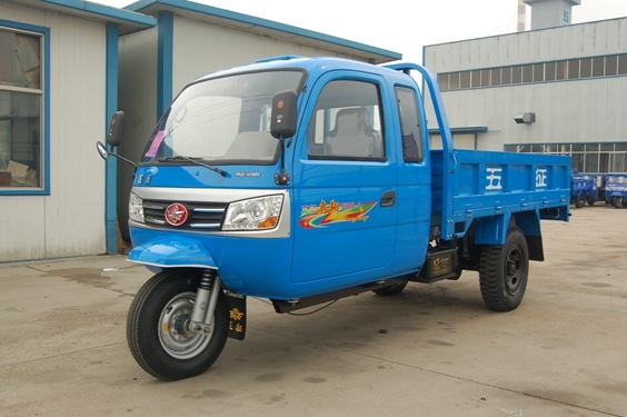 3 Wheel Vehicle with One and Half Row Seat 