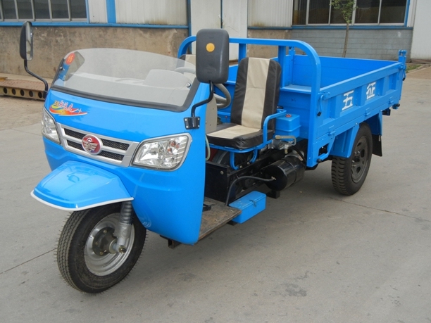 Wuzheng Three Wheel Truck with Wind Shield (WE3B2521101) 