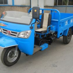 Wuzheng Three Wheel Truck with Wind Shield (WE3B2521101)