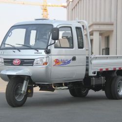 Three Wheel Vehicle with Cab