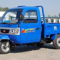 Wuzheng Tri-Wheel Vehicle with Cab