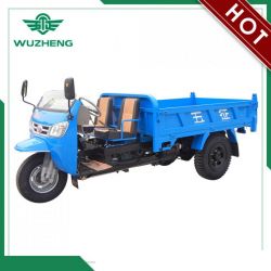 Open Waw Diesel Motorized Cargo Tricycle for Sale From China
