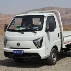 Chinese Diesel Waw Cargo 2WD New Truck for Sale