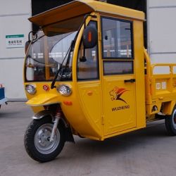 Three Wheeler Electric Tricycle with Cab