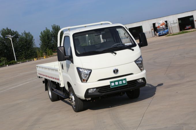 Cargo 2WD Chinese Diesel Waw New Truck for Sale Images 1