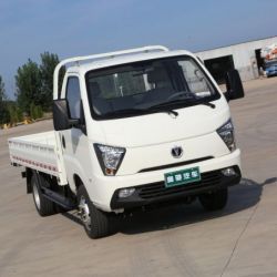 Cargo 2WD Chinese Diesel Waw New Truck for Sale