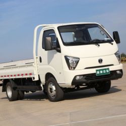 Waw Gasoline Mini Cargo 2WD New Truck for Sale From China