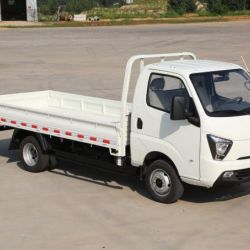 Waw Chinese Diesel Waw Cargo 2WD New Truck for Sale