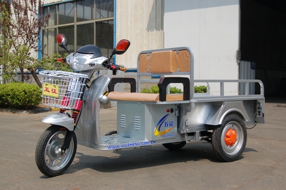 Three Wheel Electric Motorcycle with 2 Person 