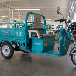 Electric Three Wheeler Passenger Electric Tricycle