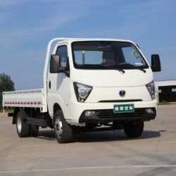 Gasoline Chinese Waw Cargo 2WD New Truck for Sale