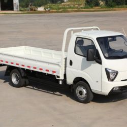 Gasoline Mini Chinese Waw Cargo 2WD New Truck for Sale