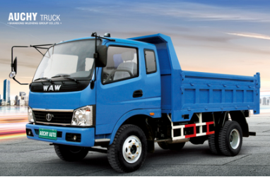 Chinese Cargo Dump 2WD New Truck for Sale 