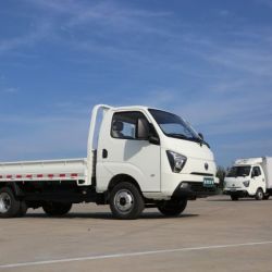 Mini Waw Gasoline Cargo 2WD New Truck for Sale From China