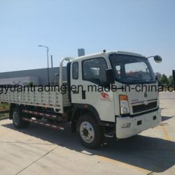 HOWO Mini Truck with 160 HP Diesel Engine for Africa